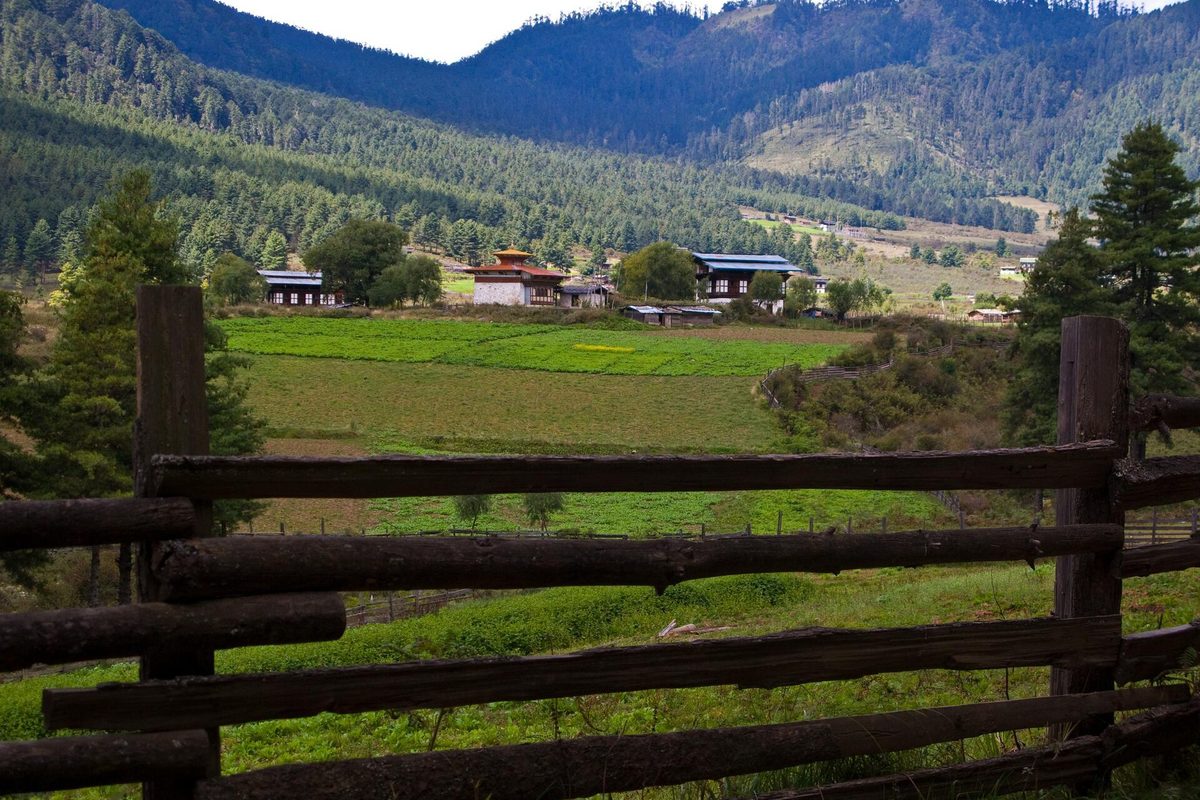 Phobjikha & Bumthang