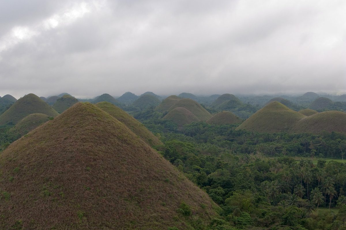 Cebu & Bohol
