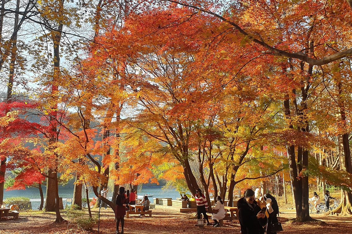 Nami Island & Gangwon
